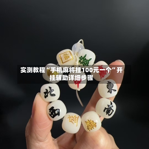 实测教程“手机麻将挂100元一个”开挂辅助详细步骤-第3张图片