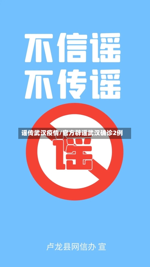 谣传武汉疫情/官方辟谣武汉确诊2例-第1张图片