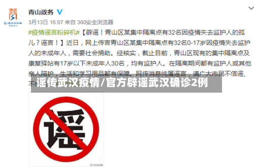 谣传武汉疫情/官方辟谣武汉确诊2例-第3张图片