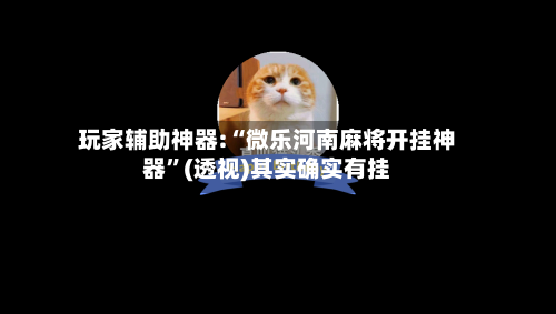 玩家辅助神器:“微乐河南麻将开挂神器”(透视)其实确实有挂-第1张图片