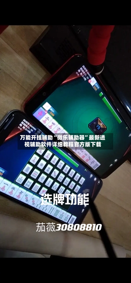 万能开挂辅助“微乐辅助器”最新透视辅助软件详细教程官方版下载-第1张图片