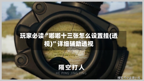 玩家必读“嘟嘟十三张怎么设置挂(透视)”详细辅助透视-第1张图片