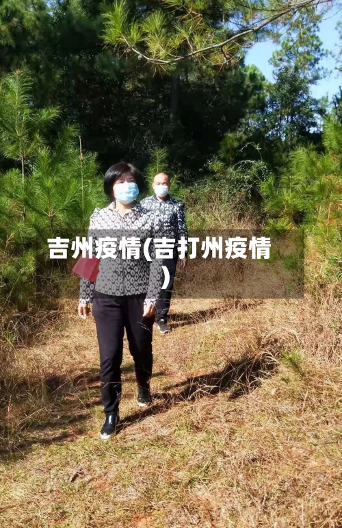 吉州疫情(吉打州疫情)