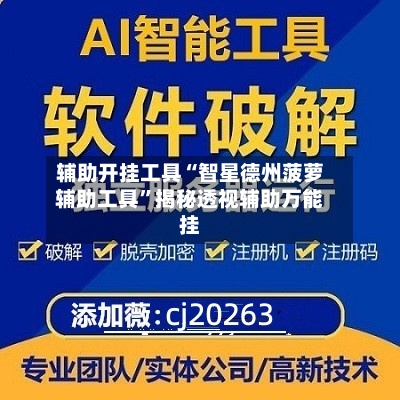 辅助开挂工具“智星德州菠萝辅助工具	”揭秘透视辅助万能挂-第2张图片