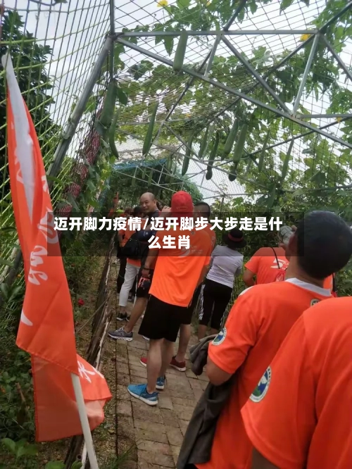 迈开脚力疫情/迈开脚步大步走是什么生肖