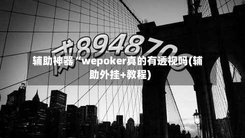 辅助神器“wepoker真的有透视吗(辅助外挂+教程)-第1张图片