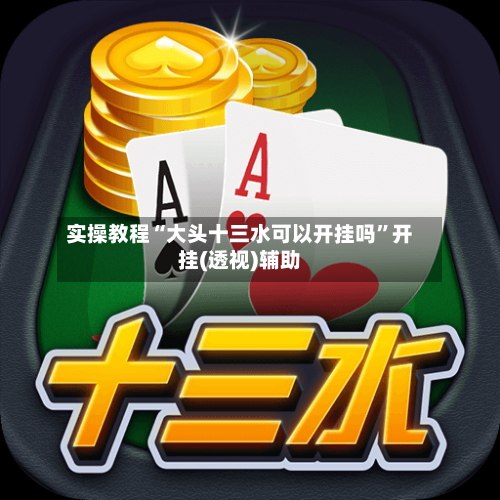 实操教程“大头十三水可以开挂吗	”开挂(透视)辅助-第1张图片