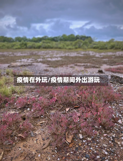 疫情在外玩/疫情期间外出游玩-第1张图片