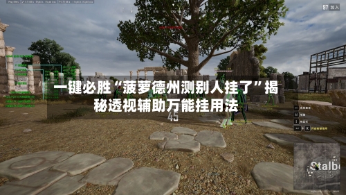 一键必胜“菠萝德州测别人挂了”揭秘透视辅助万能挂用法-第2张图片