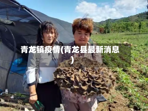 青龙镇疫情(青龙县最新消息)-第1张图片