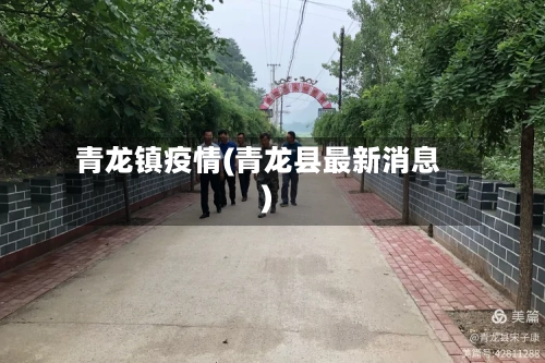 青龙镇疫情(青龙县最新消息)-第2张图片