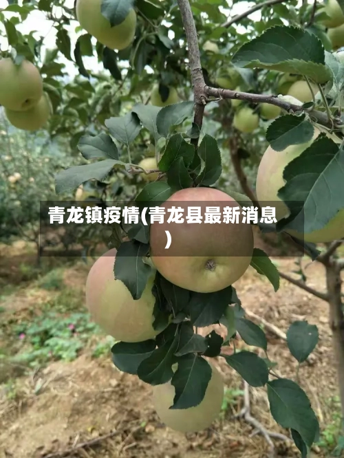 青龙镇疫情(青龙县最新消息)-第3张图片