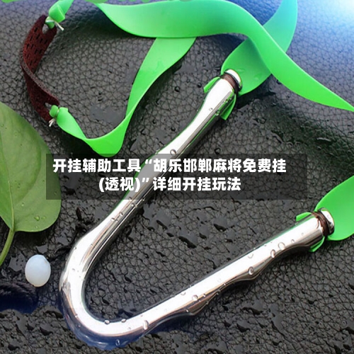 开挂辅助工具“胡乐邯郸麻将免费挂(透视)	”详细开挂玩法-第2张图片