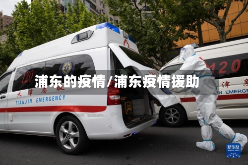 浦东的疫情/浦东疫情援助-第2张图片