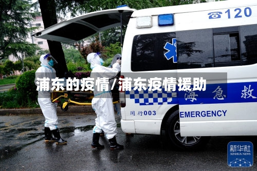浦东的疫情/浦东疫情援助-第1张图片