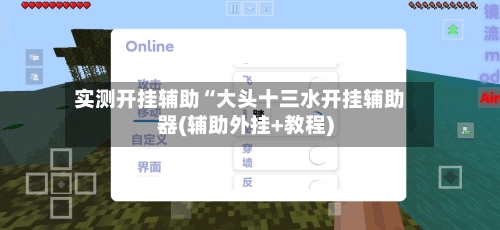 实测开挂辅助“大头十三水开挂辅助器(辅助外挂+教程)-第1张图片