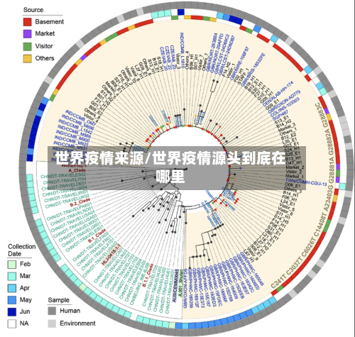 世界疫情来源/世界疫情源头到底在哪里-第2张图片