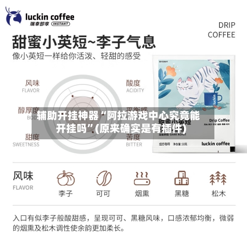 辅助开挂神器“阿拉游戏中心究竟能开挂吗”(原来确实是有插件)-第3张图片