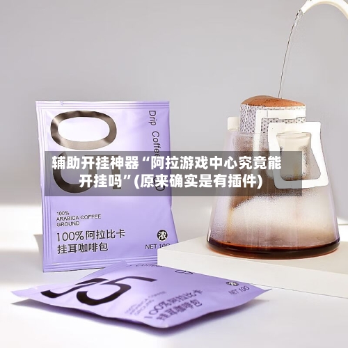 辅助开挂神器“阿拉游戏中心究竟能开挂吗	”(原来确实是有插件)-第2张图片