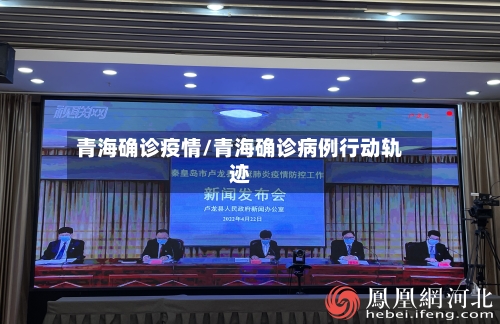 青海确诊疫情/青海确诊病例行动轨迹-第1张图片