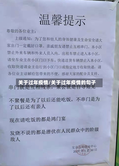 关于过年疫情/关于过年疫情的句子