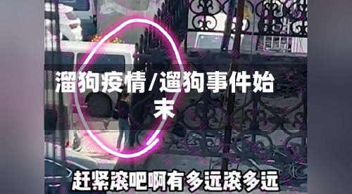 溜狗疫情/遛狗事件始末-第1张图片