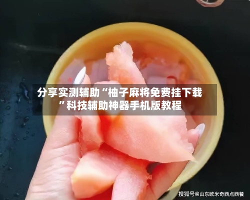 分享实测辅助“柚子麻将免费挂下载”科技辅助神器手机版教程