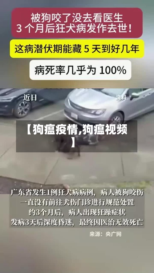 【狗瘟疫情,狗瘟视频】-第3张图片