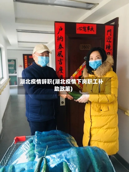 湖北疫情辞职(湖北疫情下岗职工补助政策)-第1张图片