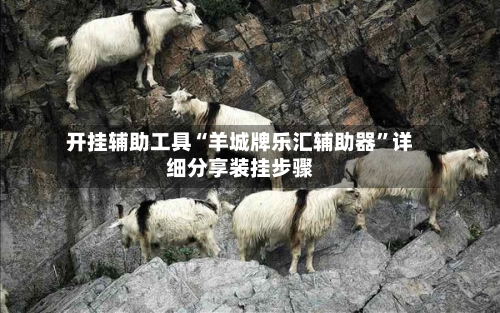 开挂辅助工具“羊城牌乐汇辅助器”详细分享装挂步骤-第2张图片