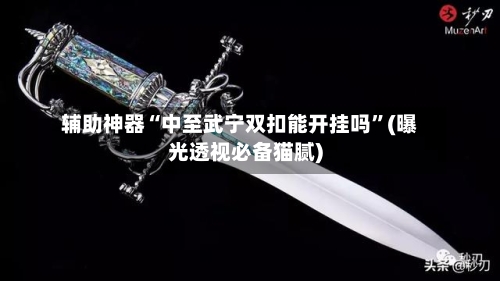 辅助神器“中至武宁双扣能开挂吗	”(曝光透视必备猫腻)-第1张图片