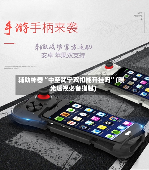 辅助神器“中至武宁双扣能开挂吗”(曝光透视必备猫腻)-第2张图片