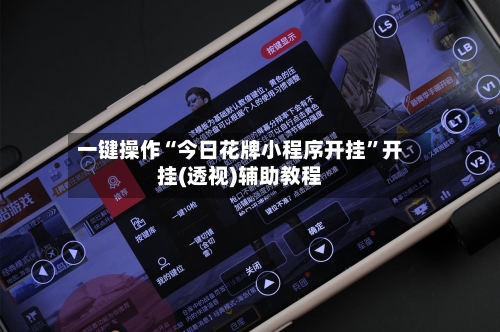 一键操作“今日花牌小程序开挂	”开挂(透视)辅助教程-第3张图片