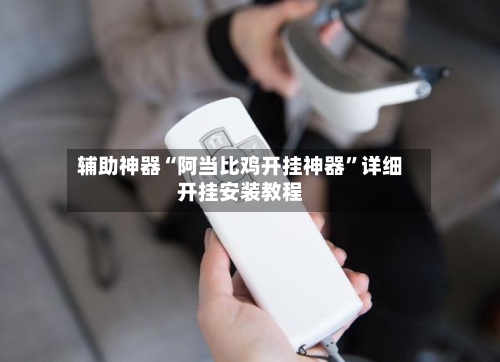 辅助神器“阿当比鸡开挂神器”详细开挂安装教程