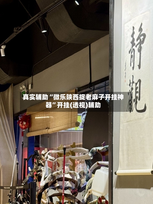 真实辅助“微乐陕西捉老麻子开挂神器”开挂(透视)辅助-第1张图片