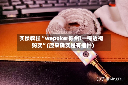 实操教程“wepoker德州?一键透视购买”(原来确实是有插件)-第1张图片