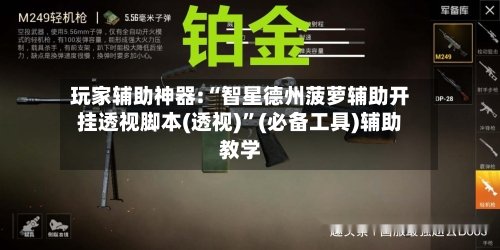 玩家辅助神器:“智星德州菠萝辅助开挂透视脚本(透视)”(必备工具)辅助教学-第3张图片