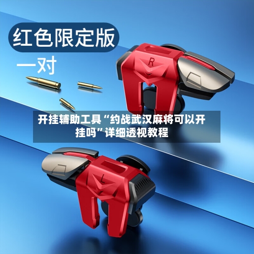 开挂辅助工具“约战武汉麻将可以开挂吗”详细透视教程