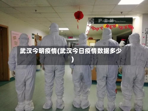 武汉今明疫情(武汉今日疫情数据多少)-第2张图片