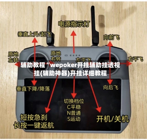 辅助教程“wepoker开挂辅助挂透视挂(辅助神器)开挂详细教程-第3张图片