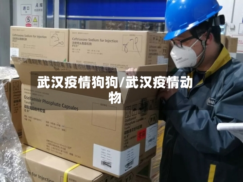 武汉疫情狗狗/武汉疫情动物-第2张图片