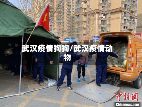 武汉疫情狗狗/武汉疫情动物-第1张图片