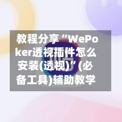 教程分享“WePoker透视插件怎么安装(透视)”(必备工具)辅助教学-第3张图片
