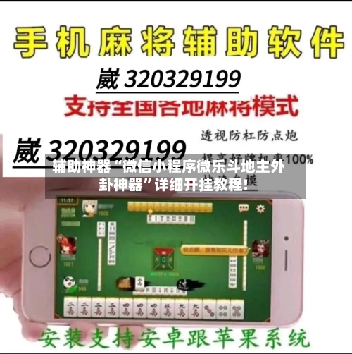 辅助神器“微信小程序微乐斗地主外卦神器”详细开挂教程!-第3张图片
