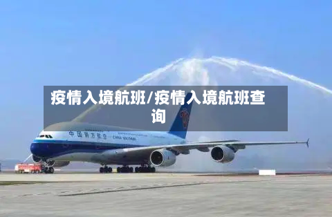 疫情入境航班/疫情入境航班查询