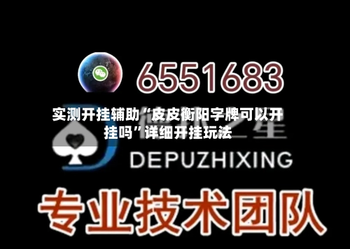 实测开挂辅助“皮皮衡阳字牌可以开挂吗”详细开挂玩法-第1张图片