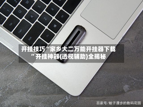 开挂技巧“家乡大二万能开挂器下载”开挂神器{透视辅助}全揭秘