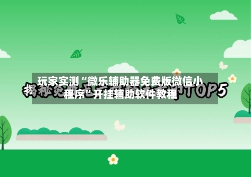 玩家实测“微乐辅助器免费版微信小程序	”开挂辅助软件教程-第1张图片