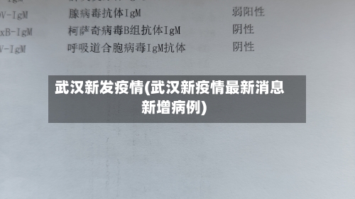武汉新发疫情(武汉新疫情最新消息新增病例)-第3张图片