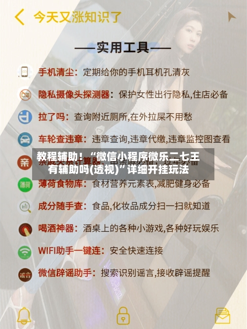 教程辅助！“微信小程序微乐二七王有辅助吗(透视)”详细开挂玩法-第2张图片